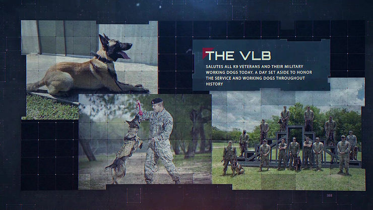K9 Veterans Day